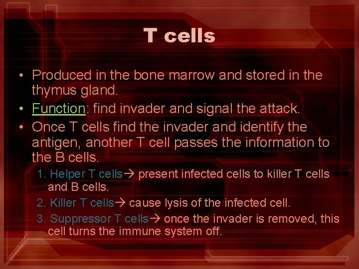 T cells • Produced in the bone marrow and stored in the thymus gland.