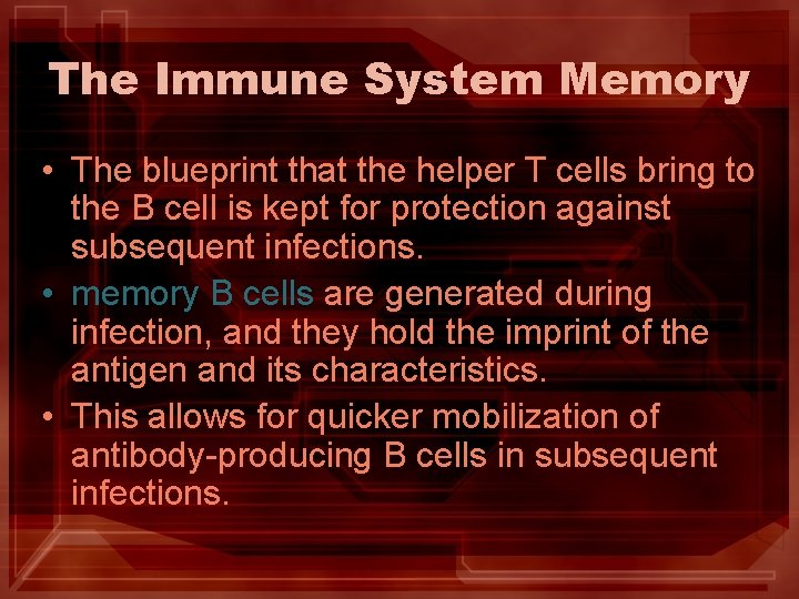The Immune System Memory • The blueprint that the helper T cells bring to