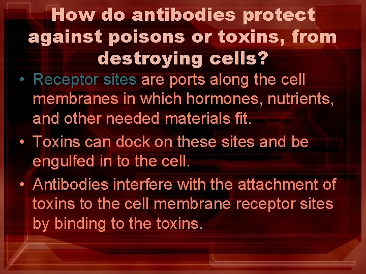 How do antibodies protect against poisons or toxins, from destroying cells? • Receptor sites How do antibodies protect against poisons or toxins, from destroying cells? • Receptor sites
