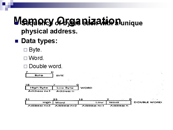 Memory Organization n Sequence of bytes each with a unique n physical address. Data