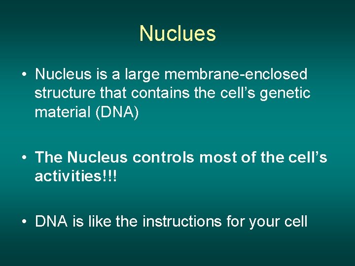 Nuclues • Nucleus is a large membrane-enclosed structure that contains the cell’s genetic material