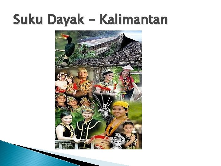 Suku Dayak - Kalimantan 