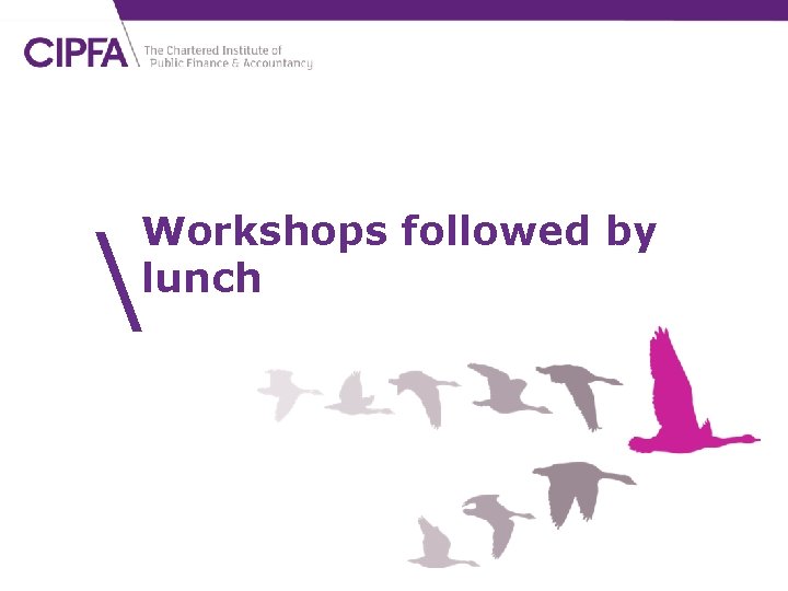  Workshops followed by lunch 
