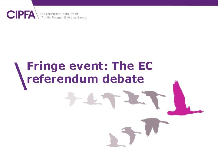  Fringe event: The EC referendum debate 