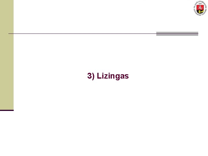 3) Lizingas 