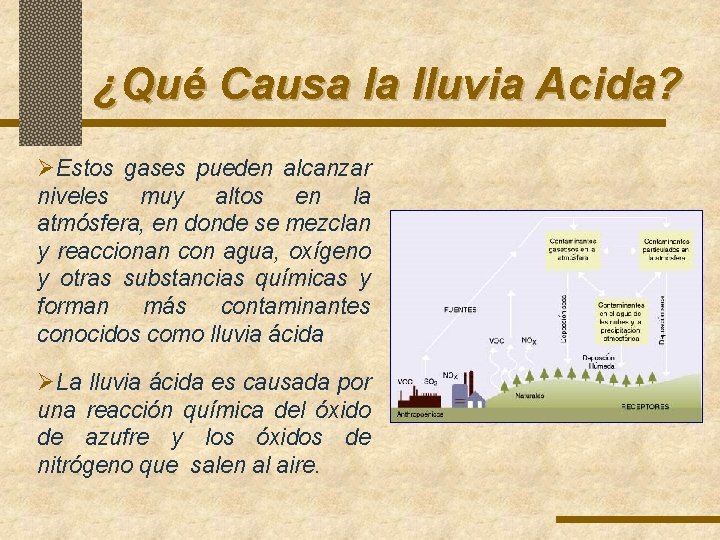 ¿Qué Causa la lluvia Acida? ØEstos gases pueden alcanzar niveles muy altos en la ¿Qué Causa la lluvia Acida? ØEstos gases pueden alcanzar niveles muy altos en la