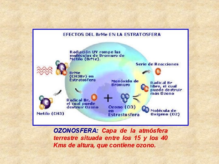 OZONOSFERA: Capa de la atmósfera terrestre situada entre los 15 y los 40 Kms