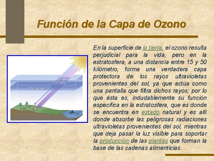 Función de la Capa de Ozono En la superficie de la tierra, el ozono Función de la Capa de Ozono En la superficie de la tierra, el ozono
