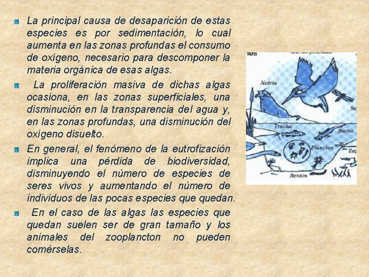 La principal causa de desaparición de estas especies es por sedimentación, lo cual aumenta La principal causa de desaparición de estas especies es por sedimentación, lo cual aumenta