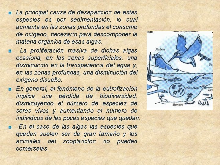 La principal causa de desaparición de estas especies es por sedimentación, lo cual aumenta