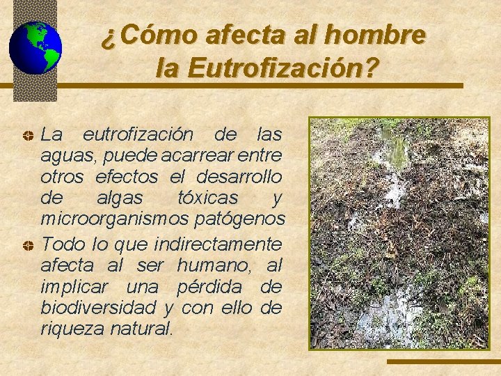 ¿Cómo afecta al hombre la Eutrofización? La eutrofización de las aguas, puede acarrear entre