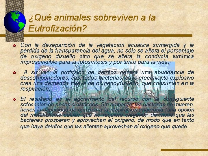 ¿Qué animales sobreviven a la Eutrofización? Con la desaparición de la vegetación acuática sumergida