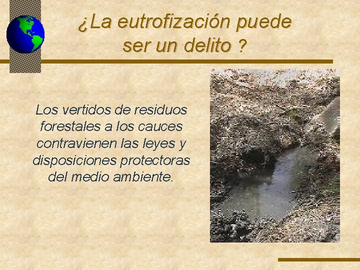 ¿La eutrofización puede ser un delito ? Los vertidos de residuos forestales a los ¿La eutrofización puede ser un delito ? Los vertidos de residuos forestales a los