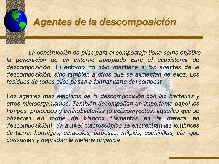 Agentes de la descomposición La construcción de pilas para el compostaje tiene como objetivo