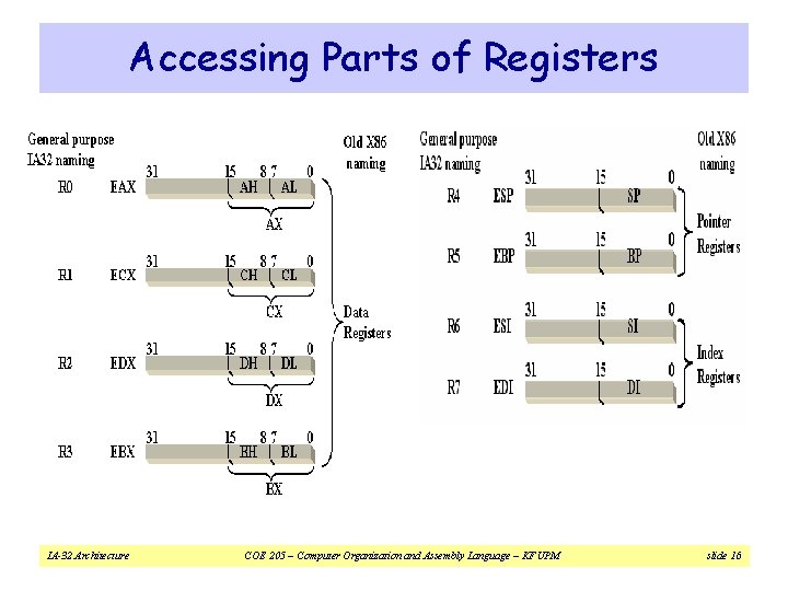 Accessing Parts of Registers IA-32 Architecture COE 205 – Computer Organization and Assembly Language