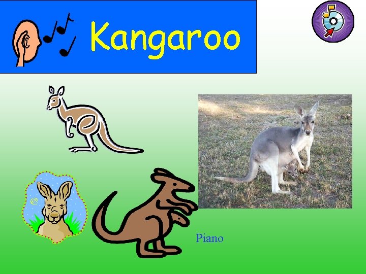 Kangaroo Piano 