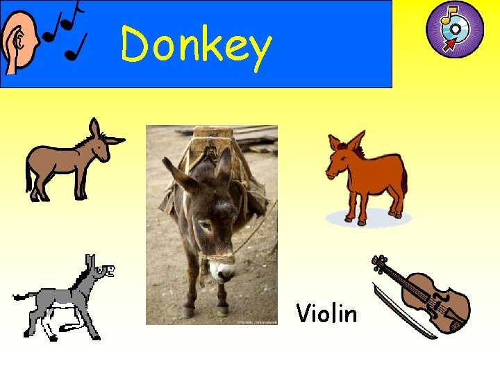 Donkey Violin 