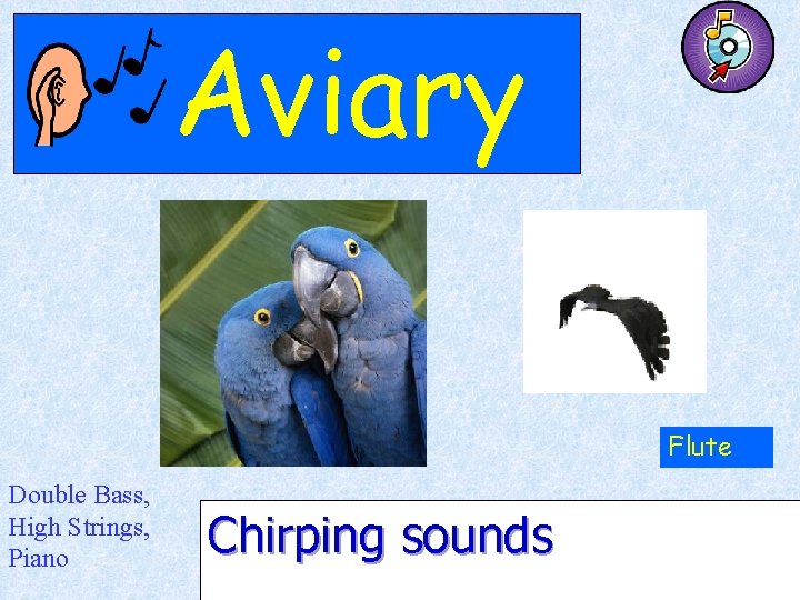 Aviary Flute Double Bass, High Strings, Piano Chirping sounds 