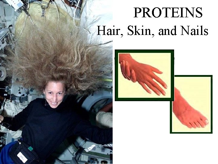 PROTEINS Hair, Skin, and Nails 