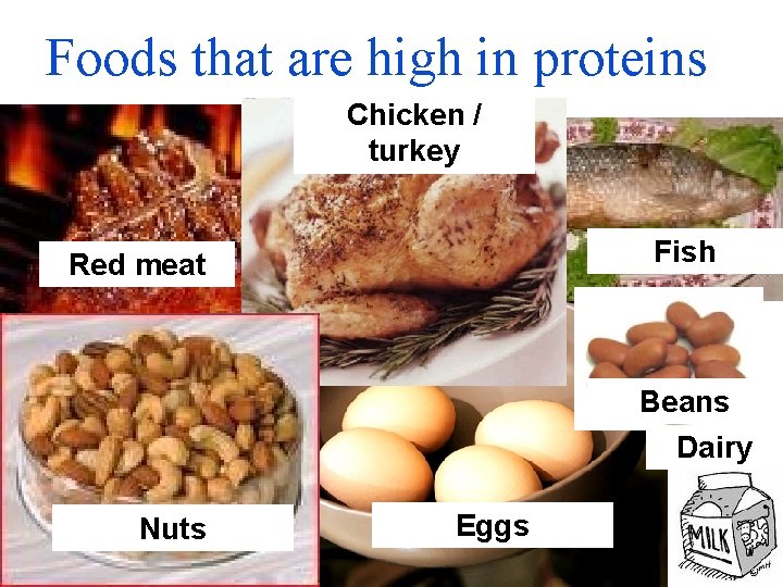 Foods that are high in proteins Chicken / turkey Fish Red meat Beans Dairy