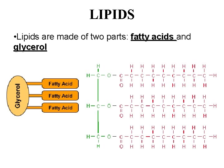 LIPIDS • Lipids are made of two parts: fatty acids and glycerol 