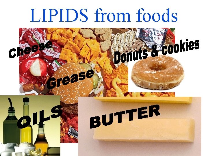 LIPIDS from foods 