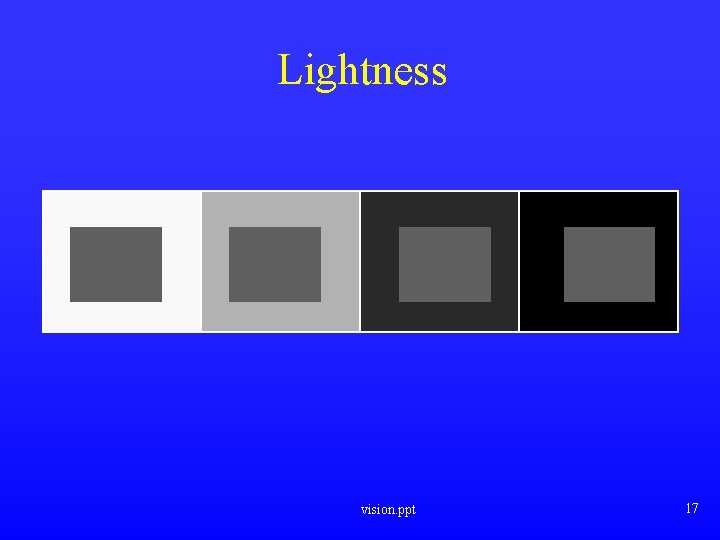 Lightness vision. ppt 17 