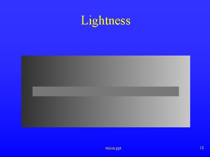 Lightness vision. ppt 18 