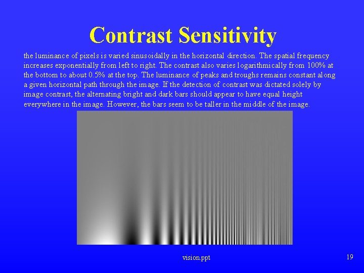 Contrast Sensitivity the luminance of pixels is varied sinusoidally in the horizontal direction. The