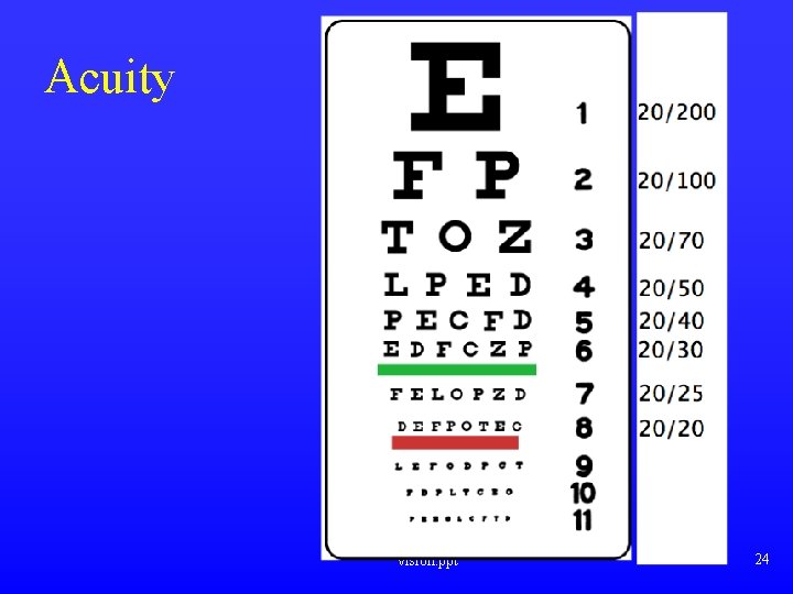 Acuity vision. ppt 24 