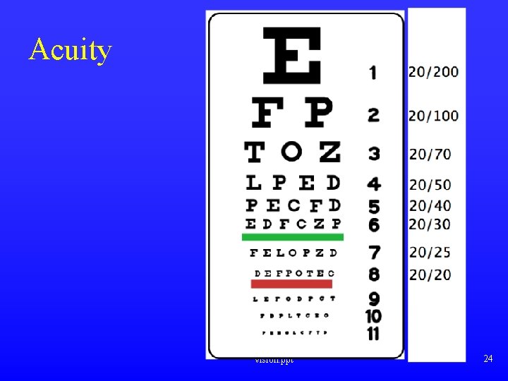 Acuity vision. ppt 24 Acuity vision. ppt 24