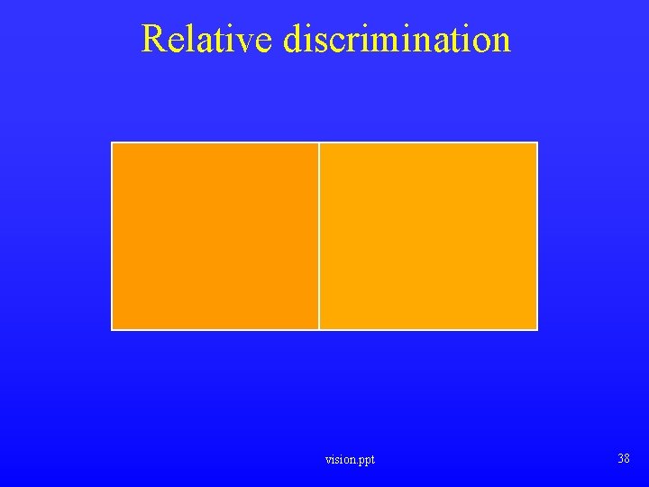 Relative discrimination vision. ppt 38 
