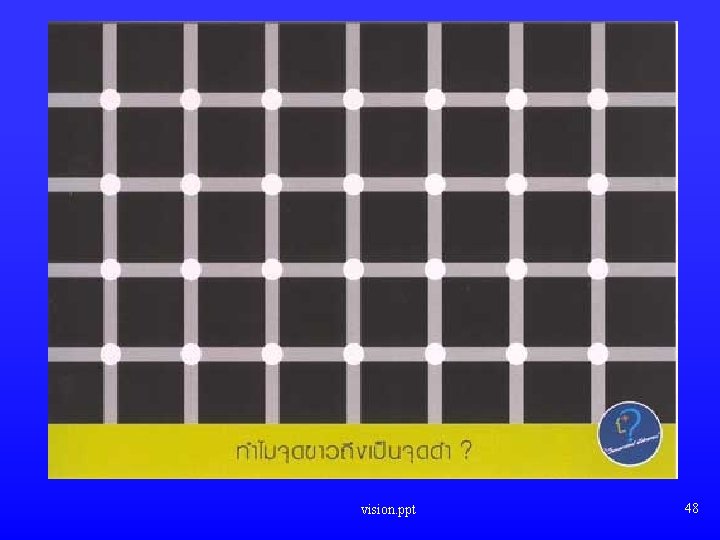 vision. ppt 48 vision. ppt 48