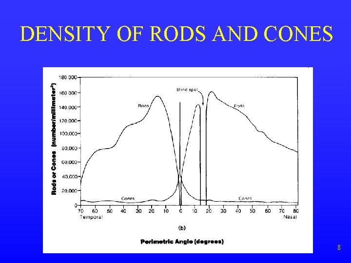 DENSITY OF RODS AND CONES vision. ppt 8 DENSITY OF RODS AND CONES vision. ppt 8