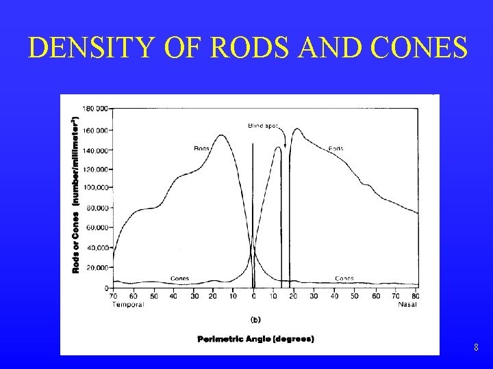 DENSITY OF RODS AND CONES vision. ppt 8 