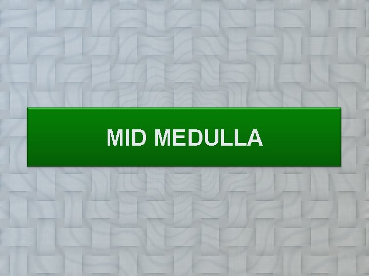 MID MEDULLA 