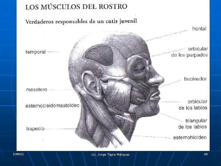 Músculos del rostro EMNSI Lic. Jorge Tapia Márquez 48 