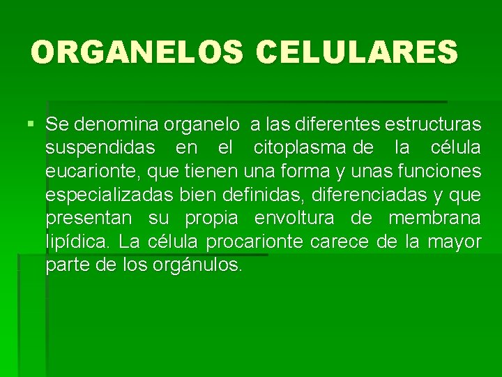 ORGANELOS CELULARES § Se denomina organelo a las diferentes estructuras suspendidas en el citoplasma