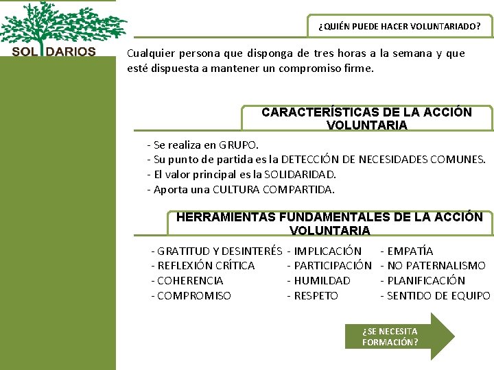 ¿QUIÉN PUEDE HACER VOLUNTARIADO? Cualquier persona que disponga de tres horas a la semana