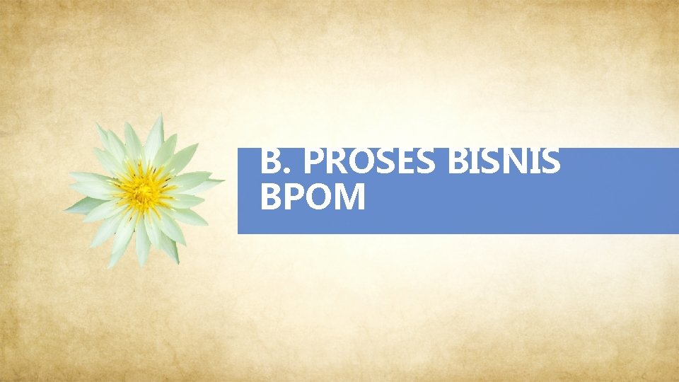 B. PROSES BISNIS BPOM 