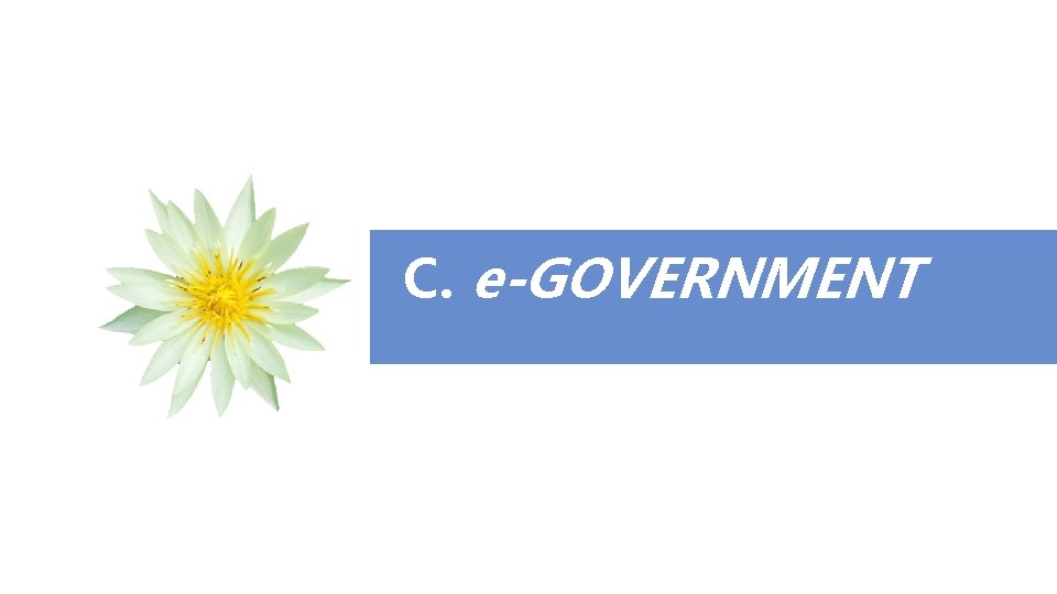 C. e-GOVERNMENT 