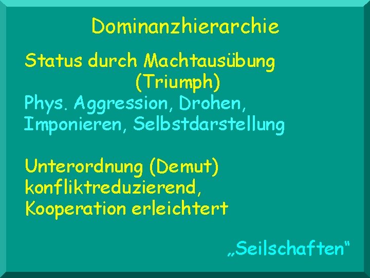 Dominanzhierarchie Status durch Machtausübung (Triumph) Phys. Aggression, Drohen, Imponieren, Selbstdarstellung Unterordnung (Demut) konfliktreduzierend, Kooperation