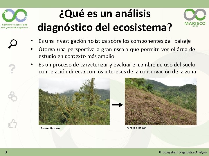 ¿Qué es un análisis diagnóstico del ecosistema? ? • Es una investigación holística sobre