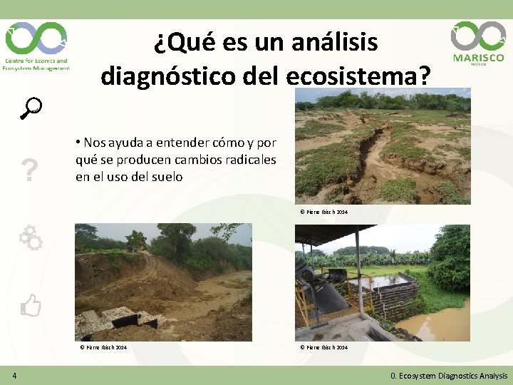  ? ¿Qué es un análisis diagnóstico del ecosistema? • Nos ayuda a entender