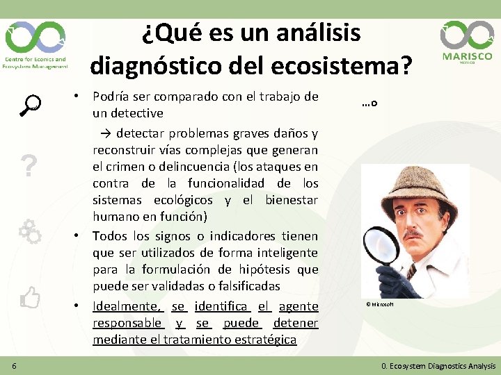 ¿Qué es un análisis diagnóstico del ecosistema? ? 6 • Podría ser comparado con