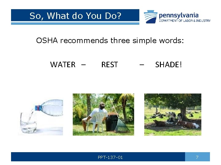 So, What do You Do? OSHA recommends three simple words: WATER – REST PPT-137