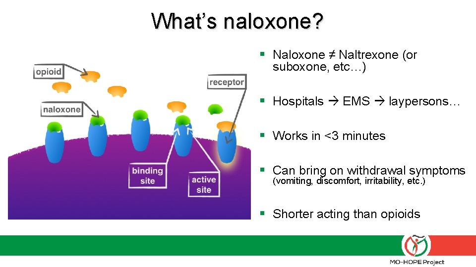 What’s naloxone? § Naloxone ≠ Naltrexone (or suboxone, etc…) § Hospitals EMS laypersons… §