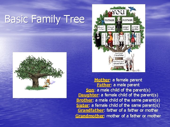 Basic Family Tree Mother: a female parent Father: a male parent Son: a male