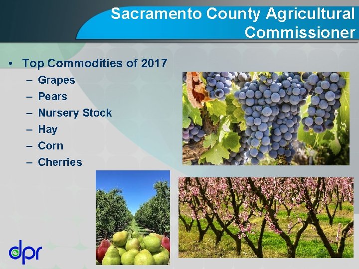 Sacramento County Agricultural Commissioner • Top Commodities of 2017 – – – Grapes Pears