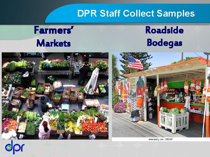 DPR Staff Collect Samples Farmers’ Markets Roadside Bodegas 